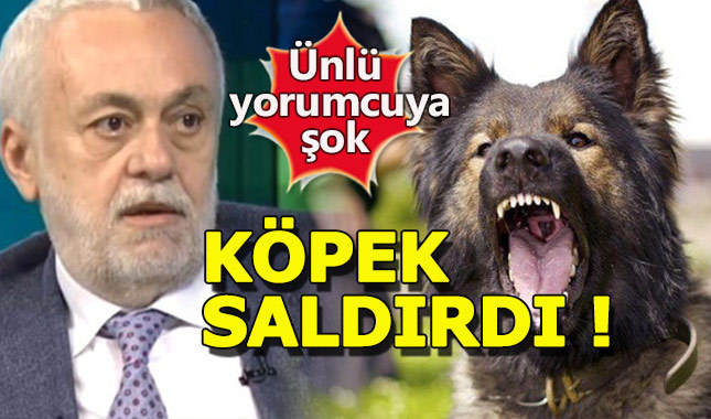 Ünlü yorumcu Ömer Üründül'e köpek saldırdı (Ömer Üründül kimdir?)