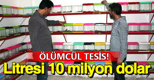 Dünyanın en pahalı sıvısını üretiyorlar
