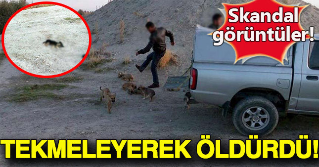 Ürgüp’te ‘köpek tekmeleme’ görüntüleri ortaya çıkınca belediye açıklama yapmak zorunda kaldı
