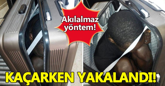 Valizinde kaçak göçmenle yakalandı