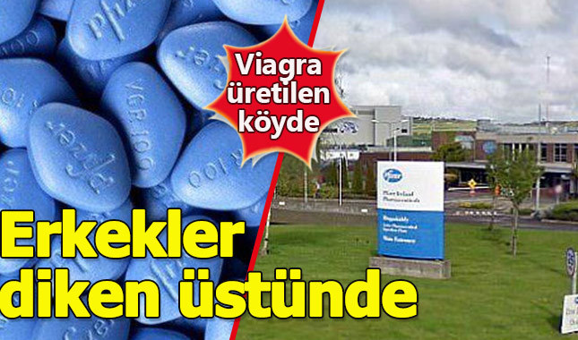 Viagra üretilen köyde erkekler zor durumda