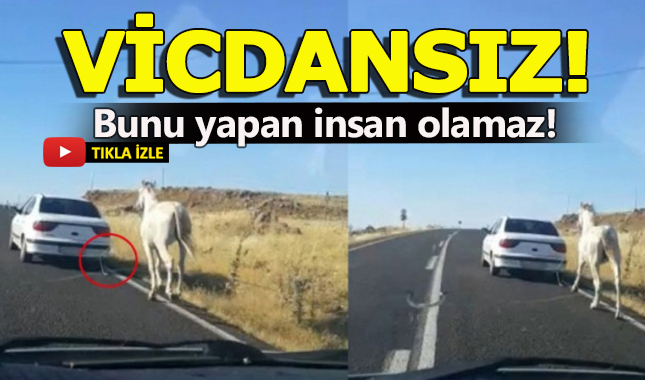 Vicdansız adam, aracın arkasına bağladığı atı saatlerce koşturdu