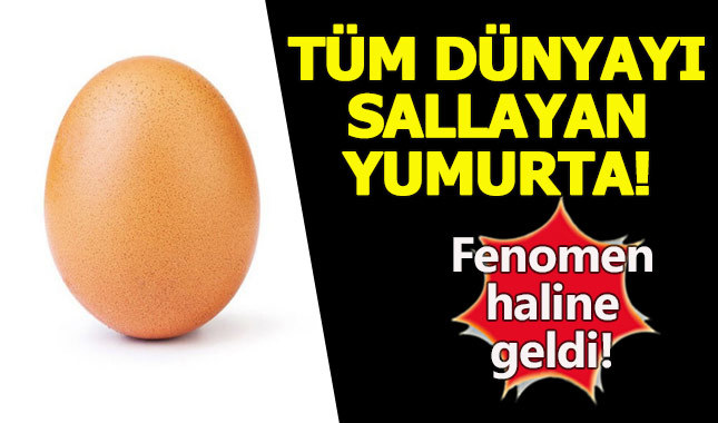 World record egg instagram profile - Instagram yumurta beğeni rekoru