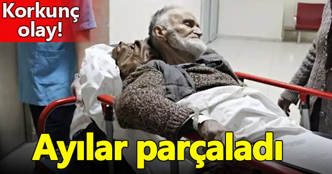 Yaşlı adam 2 ayının saldırısına uğradı