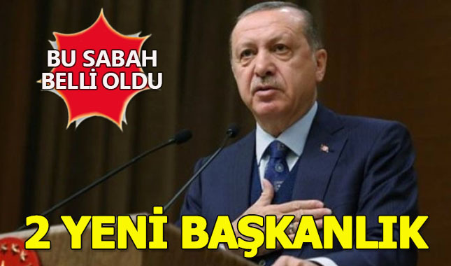 Yayınlanan 2 yeni kararname ile iki yeni başkanlık kuruldu