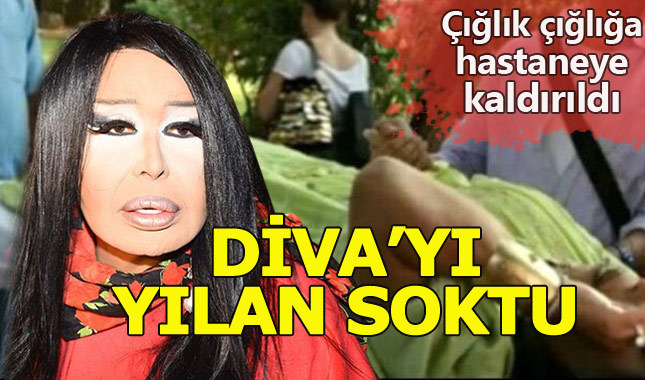 Yılan saldırısına uğrayan Bülent Ersoy hastaneye kaldırıldı