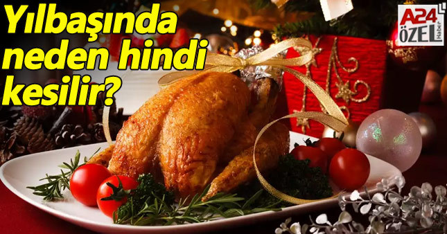 Yılbaşında neden hindi kesilir | Hindi eti yemekleri dini bir simge mi?