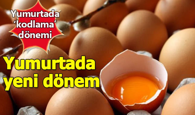 Yumurta almadan önce mutlaka koduna bakın