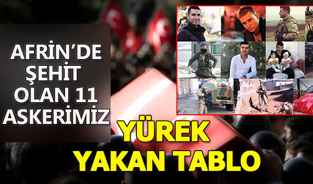 Yürek yakan tablo! İşte Afrin şehitlerimiz