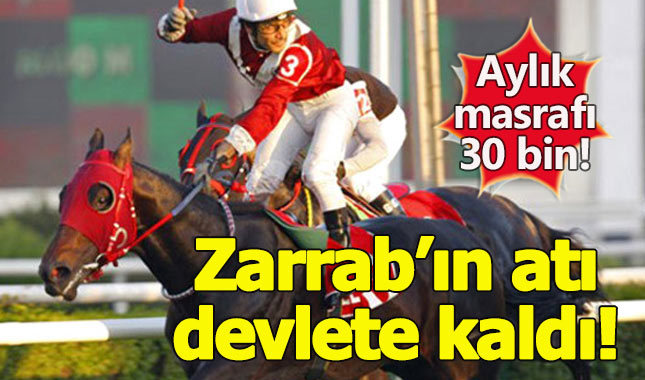 Zarrab'ın atı devlete kaldı! Aylık masrafı 30 bin TL!