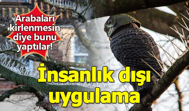 Zengin mahallesinde insanlık dışı uygulama