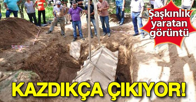 Zeytinlikte bulunan lahit inceleniyor