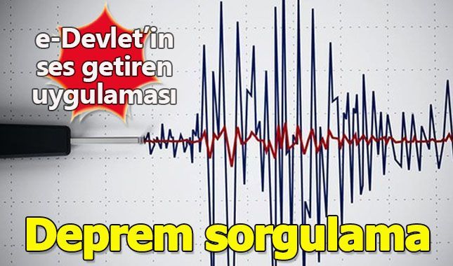 e-Devlet yeni uygulaması Deprem Sorgulama ekranını aktif etti