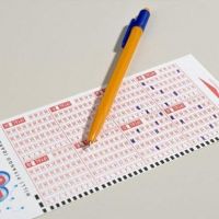 16 Haziran Sayısal Loto sonuçları: İlk devir gerçekleşti!