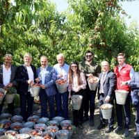 2026 yılının ilk dört ayında şeftali ve nektarin ihracatı yüzde 300 arttı