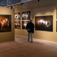 212 Photography Istanbul'un Dokuzuncu Edisyonu Sona Erdi