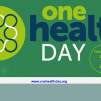 3 KASIM ULUSLARARASI TEK SAĞLIK GÜNÜ