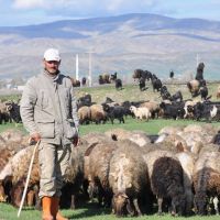 5 bin TL maaşla 150 bin Afgan çoban alınacak
