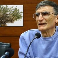 Afyon'da keşfedilen bitkiye Aziz Sancar'ın adı verildi