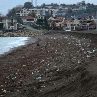 Akçakoca sahilindeki görüntü şaşırttı