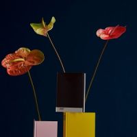 Anneler Günü'nde Pantone Renkleriyle Duygularınızı Anlatın