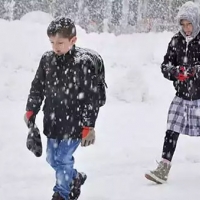 Artvin ve Giresun'da okullar tatil mi