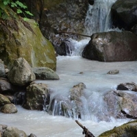 Artvin'deki maden çalışmaları suları kirletti