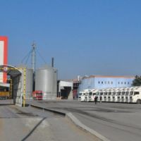 Aynes yeniden TMSF'ye devredildi