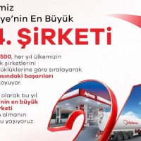 Aytemiz, Türkiye'nin En Büyük İlk 25 Şirketi Arasında