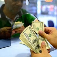 Bahçeli erken seçim istedi dolar fırladı
