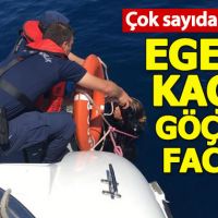 Balıkesir'de kaçak göçmen faciası!