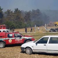 Balıkesir'de orman yangını