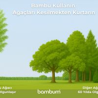 Bambu Kullanın, Ağaçları Kesilmekten Kurtarın