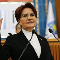 "Bilim Kurulu tam karantina istedi, Erdoğan reddetti"