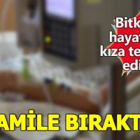 Bitkisel hayattaki kadın doğum yaptı, dünyanın konuştuğu sapık tutuklandı