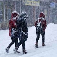 Bitlis okullar tatil mi 11 Ocak 2019 pazartesi | Bitlis'te yarın hangi ilçeler tatil | Bitlis Valiliği resmi açıklama