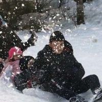 Bitlis ve Muş'ta eğitime kar engeli