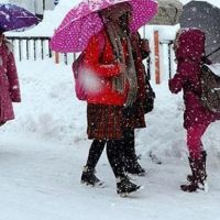 Bitlis'te yarın okullar tatil mi 27 Şubat 2019 Çarşamba | Bitlis Valiliği resmi açıklama