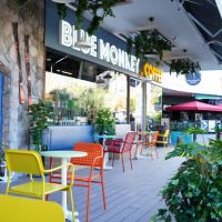 Blue Monkey Coffee, ilk franchise şubesini Milas'ta açıyor