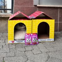 “Bu Bir Koli Değil, Bir Yuva” Projesi: Güçlü Bir Sosyal Fayda Hikâyesi