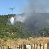 Çanakkale'de ormanlık alanda yangın