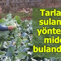 Çiftçinin tarlayı sulama şekli mide bulandırdı