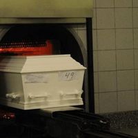 Dedesinin küllerinden kurabiye yaparak arkadaşlarına yedirdi