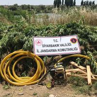 Diyarbakır'da uyuşturucu operasyonu