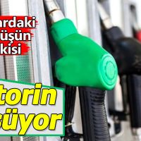 Dolardaki düşüş motorini de düşürüyor