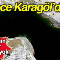 Dünyada ötmeyen tek kurbağa cinsi