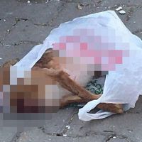 Edirne'de dehşete düşüren olay!