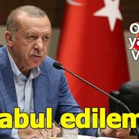 Erdoğan'dan Ordu'daki VIP krizine ilişkin açıklama