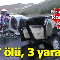 Erzincan'da feci kaza: 7 ölü, 3 yaralı