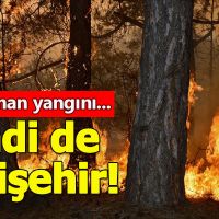 Eskişehir'de orman yangını!